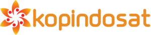 logo_kopin